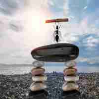 ai模‍式‍识​别‌